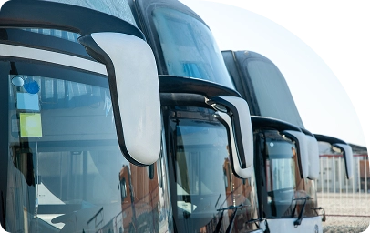 Imagen lineas regulares